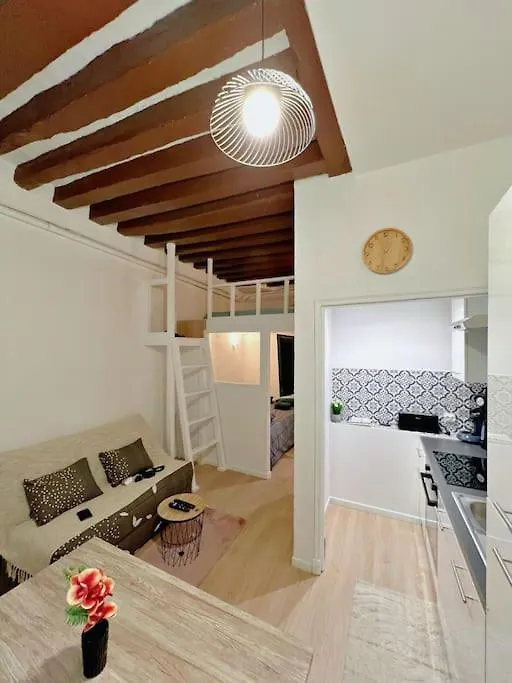 Appartement Au Centre De Paris-1